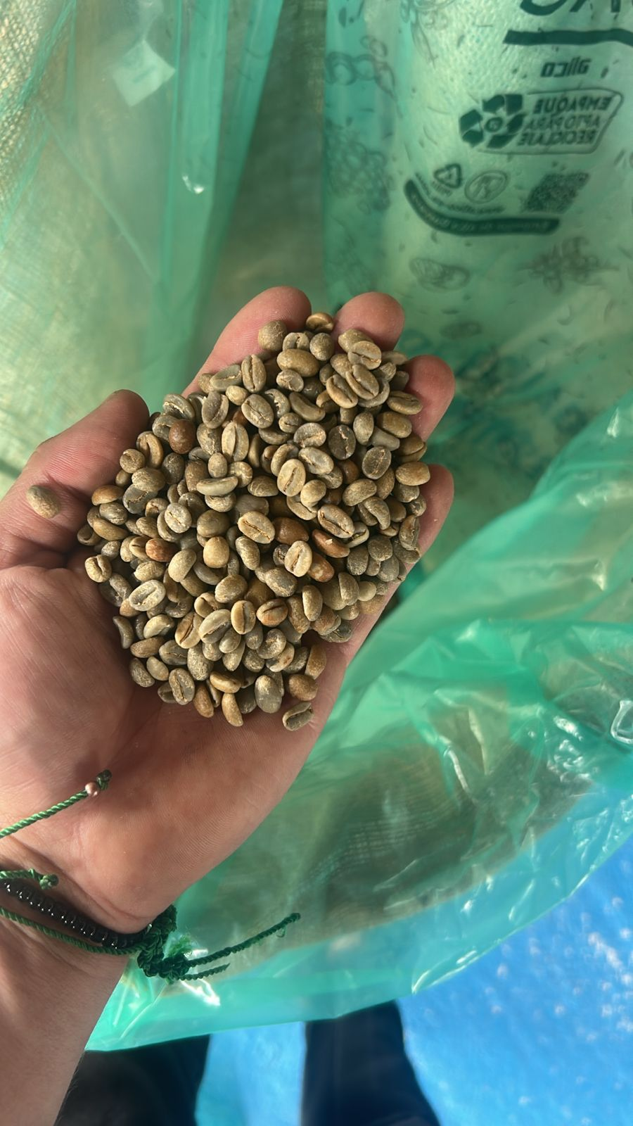 Green coffee beans from La Comarca showing Sidra varietal processed as natural in Ecuador, August 2025 harvest